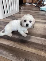 processed/06645dab-a538-484d-b318-f911e92e2a12/listing/116eaeee-755b-4408-a685-852edb65fae5/b902e2ab-eb23-4206-ae96-3410ff7cc77f