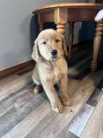 processed/06645dab-a538-484d-b318-f911e92e2a12/listing/1eccecf7-ef6f-4fbf-b0ee-9c5ec70f17a4/35687cb9-eb70-47f1-a333-b7249f7d6ea2