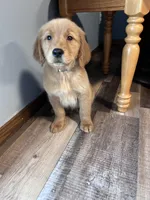 processed/06645dab-a538-484d-b318-f911e92e2a12/listing/1eccecf7-ef6f-4fbf-b0ee-9c5ec70f17a4/8257fc73-9034-4989-bf9c-3da4f0c64254