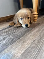 processed/06645dab-a538-484d-b318-f911e92e2a12/listing/1eccecf7-ef6f-4fbf-b0ee-9c5ec70f17a4/f0d0179d-d7a7-4272-a5a6-655446fc98ee