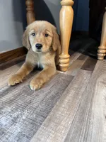 processed/06645dab-a538-484d-b318-f911e92e2a12/listing/1eccecf7-ef6f-4fbf-b0ee-9c5ec70f17a4/f7a019a1-f1fd-4f2a-a017-197c02b31e2e