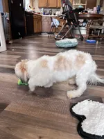 processed/06645dab-a538-484d-b318-f911e92e2a12/listing/1f423cde-760f-458f-b8f9-2ff610511f28/13ed67cc-88d7-47ce-ac37-0a69b7b8967f