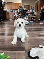 processed/06645dab-a538-484d-b318-f911e92e2a12/listing/1f423cde-760f-458f-b8f9-2ff610511f28/9acce04e-cff3-4cc4-b7e0-2954609899a6