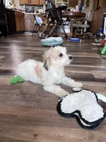 processed/06645dab-a538-484d-b318-f911e92e2a12/listing/1f423cde-760f-458f-b8f9-2ff610511f28/aff38a88-0d23-419f-b81d-fed4bb7d6db4