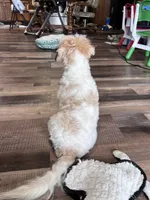 processed/06645dab-a538-484d-b318-f911e92e2a12/listing/1f423cde-760f-458f-b8f9-2ff610511f28/d7b3e480-325a-4dcc-b196-c5530059f98c