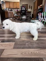 processed/06645dab-a538-484d-b318-f911e92e2a12/listing/279f1fbc-b322-4b53-9c26-dc48c93840dd/00653e48-e66a-4e3b-9566-2a4813b8e3c6