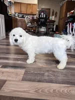 processed/06645dab-a538-484d-b318-f911e92e2a12/listing/279f1fbc-b322-4b53-9c26-dc48c93840dd/cec89d6c-0061-4e79-b486-7abadf7c898a