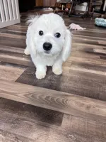 processed/06645dab-a538-484d-b318-f911e92e2a12/listing/279f1fbc-b322-4b53-9c26-dc48c93840dd/d865c7a1-03d3-4430-bd22-abb54cd445e3