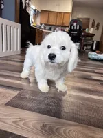 processed/06645dab-a538-484d-b318-f911e92e2a12/listing/279f1fbc-b322-4b53-9c26-dc48c93840dd/e594b393-9a0a-4aca-ab12-6140162e5ae5