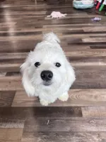 processed/06645dab-a538-484d-b318-f911e92e2a12/listing/279f1fbc-b322-4b53-9c26-dc48c93840dd/e9422c3b-4632-4abc-9382-438bd26bba98