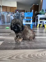 processed/06645dab-a538-484d-b318-f911e92e2a12/listing/286bf45c-fd76-430a-8efe-9aca850f5ba5/218fe752-6295-4863-b68c-0bd34d5b2556