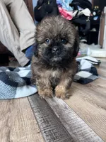 processed/06645dab-a538-484d-b318-f911e92e2a12/listing/286bf45c-fd76-430a-8efe-9aca850f5ba5/479f2cc8-6f84-46b1-8462-0c1f0a6d9aba