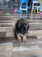 processed/06645dab-a538-484d-b318-f911e92e2a12/listing/286bf45c-fd76-430a-8efe-9aca850f5ba5/95c90f9d-f570-4665-ad00-20227e3a1e91