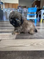 processed/06645dab-a538-484d-b318-f911e92e2a12/listing/286bf45c-fd76-430a-8efe-9aca850f5ba5/c150e359-9978-4e08-8dae-6dbe3aafd49c