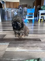 processed/06645dab-a538-484d-b318-f911e92e2a12/listing/286bf45c-fd76-430a-8efe-9aca850f5ba5/c8ab8393-1de3-4d58-a8c5-c0edd87aa66c