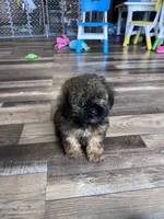 processed/06645dab-a538-484d-b318-f911e92e2a12/listing/286bf45c-fd76-430a-8efe-9aca850f5ba5/d8cd3b94-0450-4ebe-8d76-d15bad45d6c9