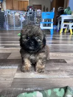 processed/06645dab-a538-484d-b318-f911e92e2a12/listing/286bf45c-fd76-430a-8efe-9aca850f5ba5/e866e5c1-8ae8-4c47-bf64-00429794ee04