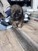 processed/06645dab-a538-484d-b318-f911e92e2a12/listing/286bf45c-fd76-430a-8efe-9aca850f5ba5/f424ffd8-c4f6-4c93-83b7-6dc7ae1f1f91