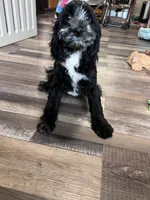 processed/06645dab-a538-484d-b318-f911e92e2a12/listing/28cf2a25-a0f7-40d9-89ab-aa5ad46a1aff/2ad74b82-ca91-4b4b-bab2-aadd91439597