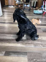 processed/06645dab-a538-484d-b318-f911e92e2a12/listing/28cf2a25-a0f7-40d9-89ab-aa5ad46a1aff/3066db90-2e62-4985-bd6c-11ea1f3c06ff