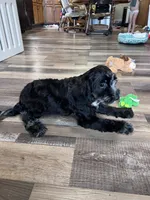 processed/06645dab-a538-484d-b318-f911e92e2a12/listing/28cf2a25-a0f7-40d9-89ab-aa5ad46a1aff/46281d69-334f-4fac-87e8-05134a27db0d