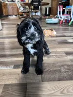 processed/06645dab-a538-484d-b318-f911e92e2a12/listing/28cf2a25-a0f7-40d9-89ab-aa5ad46a1aff/46aacbf1-5e79-4dc6-97fc-0e70ceba1a4a