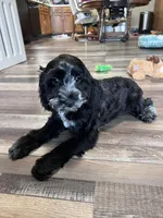 processed/06645dab-a538-484d-b318-f911e92e2a12/listing/28cf2a25-a0f7-40d9-89ab-aa5ad46a1aff/5db3dde4-edf4-4791-8dfe-8d1152166242