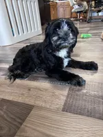 processed/06645dab-a538-484d-b318-f911e92e2a12/listing/28cf2a25-a0f7-40d9-89ab-aa5ad46a1aff/d2d37902-de17-40c7-a62f-4e533387ff0b