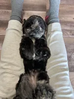 processed/06645dab-a538-484d-b318-f911e92e2a12/listing/28cf2a25-a0f7-40d9-89ab-aa5ad46a1aff/e84949e6-b39a-4e91-b85f-edb8e77fb5ad