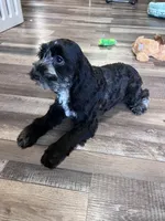 processed/06645dab-a538-484d-b318-f911e92e2a12/listing/28cf2a25-a0f7-40d9-89ab-aa5ad46a1aff/f0b673e5-3349-44b7-bf14-852e51d5c057