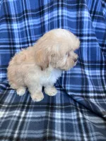 processed/06645dab-a538-484d-b318-f911e92e2a12/listing/2cd87975-bbf4-4165-9e0a-3bdf1c5bcae7/0681d022-f00f-45db-971d-ce10fc574079