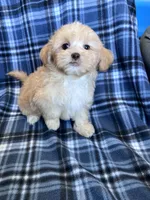 processed/06645dab-a538-484d-b318-f911e92e2a12/listing/2cd87975-bbf4-4165-9e0a-3bdf1c5bcae7/11bced2d-f4bb-470c-b902-1dd27715fdf4