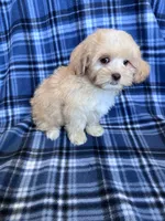 processed/06645dab-a538-484d-b318-f911e92e2a12/listing/2cd87975-bbf4-4165-9e0a-3bdf1c5bcae7/1f4a9907-3448-4224-90cc-9d5e1caf134e