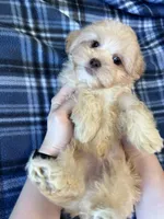 processed/06645dab-a538-484d-b318-f911e92e2a12/listing/2cd87975-bbf4-4165-9e0a-3bdf1c5bcae7/2376fd43-8006-4079-a452-90aa53b433c9