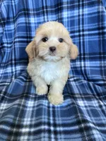 processed/06645dab-a538-484d-b318-f911e92e2a12/listing/2cd87975-bbf4-4165-9e0a-3bdf1c5bcae7/6bfedc3f-5aad-4793-bed0-e5094c154e54