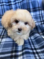 processed/06645dab-a538-484d-b318-f911e92e2a12/listing/2cd87975-bbf4-4165-9e0a-3bdf1c5bcae7/764a258f-12a7-4840-980d-042ff5a4491c