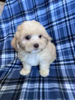 processed/06645dab-a538-484d-b318-f911e92e2a12/listing/2cd87975-bbf4-4165-9e0a-3bdf1c5bcae7/bd639533-5be1-4375-af4b-30405ae71664