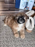 processed/06645dab-a538-484d-b318-f911e92e2a12/listing/35b2a272-473b-4207-8f7b-b57e6d86e102/2b8d5541-71f3-472e-8f1b-18b4e720c4b9