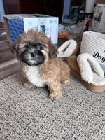 processed/06645dab-a538-484d-b318-f911e92e2a12/listing/35b2a272-473b-4207-8f7b-b57e6d86e102/7cfaad26-1f61-4ab3-8e7b-b554948b3b51