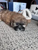 processed/06645dab-a538-484d-b318-f911e92e2a12/listing/35b2a272-473b-4207-8f7b-b57e6d86e102/87e51a47-36d5-42ad-acfb-f8c820d7fe9c