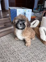 processed/06645dab-a538-484d-b318-f911e92e2a12/listing/35b2a272-473b-4207-8f7b-b57e6d86e102/8c7c51de-282b-4e24-a6e4-035a81f488b6