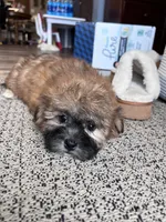 processed/06645dab-a538-484d-b318-f911e92e2a12/listing/35b2a272-473b-4207-8f7b-b57e6d86e102/a8e12546-0424-4c5b-8c86-325302455ca2