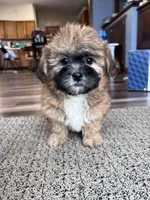 processed/06645dab-a538-484d-b318-f911e92e2a12/listing/35b2a272-473b-4207-8f7b-b57e6d86e102/f11cdf38-6c7a-46c1-b103-7598f7c5ddb9