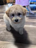 processed/06645dab-a538-484d-b318-f911e92e2a12/listing/3e831d4f-11e4-43cd-8488-289adb21ed2c/487ba90d-bca7-4e22-a296-6d18bc01bf31