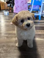 processed/06645dab-a538-484d-b318-f911e92e2a12/listing/3e831d4f-11e4-43cd-8488-289adb21ed2c/54d07310-e20f-43f8-b39f-e81e513decb7