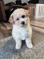 processed/06645dab-a538-484d-b318-f911e92e2a12/listing/3e831d4f-11e4-43cd-8488-289adb21ed2c/72ecb372-8b9c-4917-9955-7f212912dce7