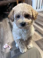 processed/06645dab-a538-484d-b318-f911e92e2a12/listing/3e831d4f-11e4-43cd-8488-289adb21ed2c/8f0f5352-c658-4457-869c-e6c3601311d8