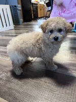 processed/06645dab-a538-484d-b318-f911e92e2a12/listing/3e831d4f-11e4-43cd-8488-289adb21ed2c/e675818e-2c34-4633-8115-0ecaeac2628a