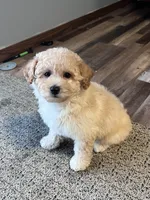 processed/06645dab-a538-484d-b318-f911e92e2a12/listing/3e831d4f-11e4-43cd-8488-289adb21ed2c/ede1c9c9-f661-4c04-aacc-b93f86677e4f