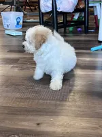 processed/06645dab-a538-484d-b318-f911e92e2a12/listing/3ea7cce6-1efc-45d9-b1ae-a4e49fd90093/140160f2-a780-48f9-942e-ef018bf71a51